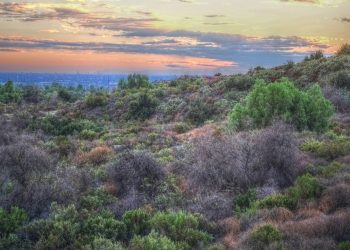City of Fullerton Closes Escrow on West Coyote Hills Acreage
