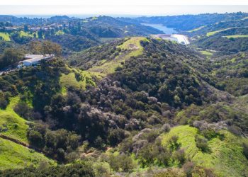 Tips And Tricks For Buying Land In California